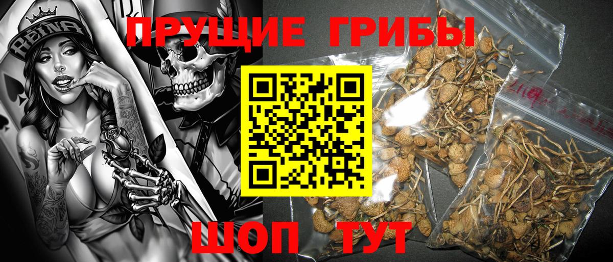 Галлюциногенные грибы ЛСД  Галлюциногенные грибы MAGIC MUSHROOMS  Воскресенск  Вход с VPN 